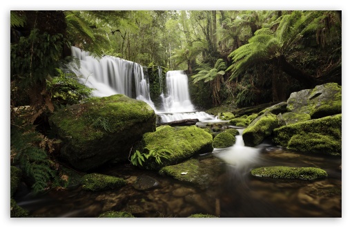 Lush Rainforest Waterfall UltraHD Wallpaper for UHD 16:9 ; HD 16:9 ; UltraWide 21:9 24:10 ; Widescreen 16:10 5:3 ; Fullscreen 4:3 5:4 3:2 ; Tablet 1:1 ; Mobile 9:16 9:19.5 9:20 10:16 2:3 3:5 3:4 ;