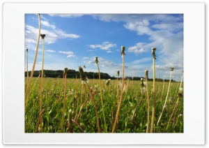 LwenZahn 4K UHD Wallpaper for Widescreen and UltraWide Desktop, UltraHD TV, Smartphone, Tablet