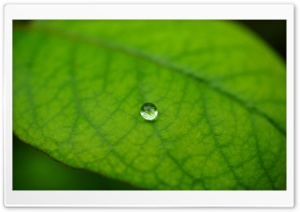 Macro Waterdrop on a Green Leaf 4K UHD Wallpaper for Widescreen and UltraWide Desktop, UltraHD TV, Smartphone, Tablet