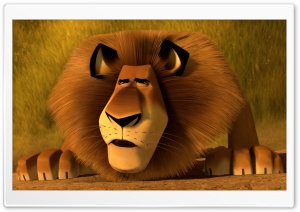 Madagascar 3 Alex The Lion Ultra HD Wallpaper for 4K UHD Widescreen desktop, tablet & smartphone