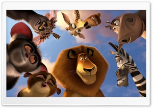 Madagascar 3 Animals Ultra HD Wallpaper for 4K UHD Widescreen desktop, tablet & smartphone
