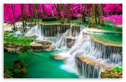 Magenta Contrast at the Green Waterfalls UltraHD Wallpaper for HD 16:9 ; UltraWide 21:9 24:10 ; Widescreen 16:10 5:3 ; Fullscreen 4:3 5:4 3:2 ; Tablet 1:1 ; Mobile 9:16 9:19.5 9:20 10:16 2:3 3:5 3:4 ;