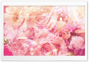 Magic Roses Ultra HD Wallpaper for 4K UHD Widescreen desktop, tablet & smartphone