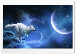 Magic White Wolf Ultra HD Wallpaper for 4K UHD Widescreen desktop, tablet & smartphone
