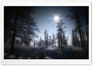 Magic Winter Ultra HD Wallpaper for 4K UHD Widescreen desktop, tablet & smartphone