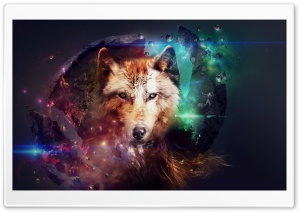Magic Wolf Ultra HD Wallpaper for 4K UHD Widescreen desktop, tablet & smartphone