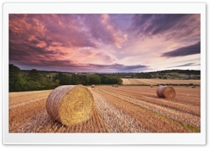 Magical Harvest Ultra HD Wallpaper for 4K UHD Widescreen desktop, tablet & smartphone