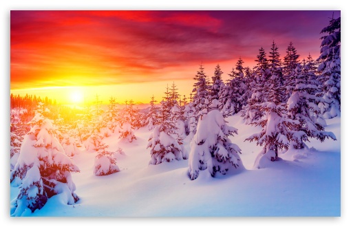 Magical Winter Wonderland Scenery UltraHD Wallpaper for HD 16:9 ; UltraWide 21:9 24:10 ; Widescreen 16:10 5:3 ; Fullscreen 4:3 5:4 3:2 ; Tablet 1:1 ; Mobile 9:16 9:19.5 9:20 10:16 2:3 3:5 3:4 ;