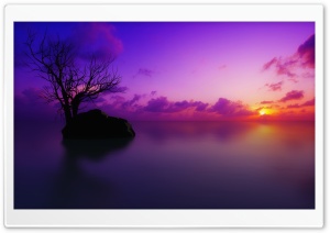 Maldivian Sunset Ultra HD Wallpaper for 4K UHD Widescreen desktop, tablet & smartphone