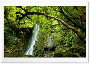 Matai Falls, New Zealand Ultra HD Wallpaper for 4K UHD Widescreen desktop, tablet & smartphone