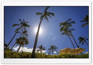 Maui Ultra HD Wallpaper for 4K UHD Widescreen desktop, tablet & smartphone