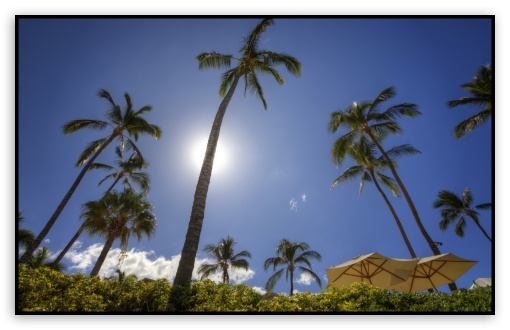 Maui UltraHD Wallpaper for Wide 16:10 Widescreen WHXGA WQXGA WUXGA WXGA ;