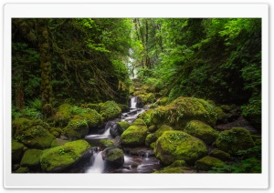 McCord Creek, Elowah Falls, Oregon 4K UHD Wallpaper for Widescreen and UltraWide Desktop, UltraHD TV, Smartphone, Tablet