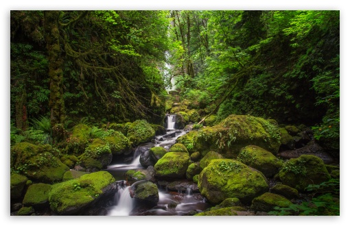 McCord Creek, Elowah Falls, Oregon UltraHD Wallpaper for UHD 16:9 ; HD 16:9 ; UltraWide 21:9 24:10 ; Widescreen 16:10 5:3 ; Fullscreen 4:3 5:4 3:2 ; Tablet 1:1 ; Mobile 9:16 9:19.5 9:20 9:21 9:22 10:16 2:3 3:5 3:4 ;