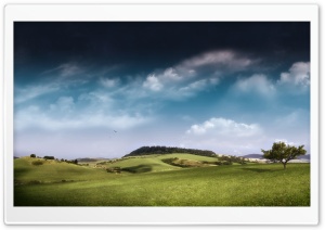 Meadow Ultra HD Wallpaper for 4K UHD Widescreen desktop, tablet & smartphone