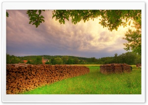 Meadow, Summer Ultra HD Wallpaper for 4K UHD Widescreen desktop, tablet & smartphone