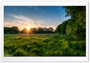 Meadow Sunset. Ultra HD Wallpaper for 4K UHD Widescreen desktop, tablet & smartphone