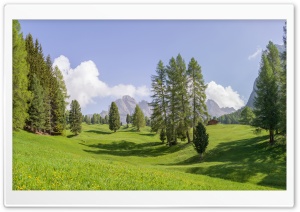 Meadows, Puez Geisler Nature Park, Dolomites Ultra HD Wallpaper for 4K UHD Widescreen desktop, tablet & smartphone