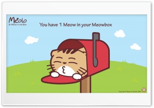 Meolo Meowbox - Meow in the Box Ultra HD Wallpaper for 4K UHD Widescreen desktop, tablet & smartphone