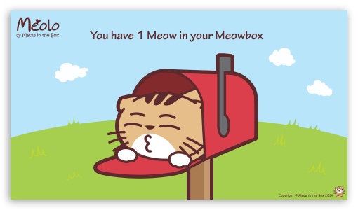 Meolo Meowbox - Meow in the Box UltraHD Wallpaper for 8K UHD TV 16:9 Ultra High Definition 2160p 1440p 1080p 900p 720p ; Tablet 1:1 ; Mobile 16:9 - 2160p 1440p 1080p 900p 720p ;