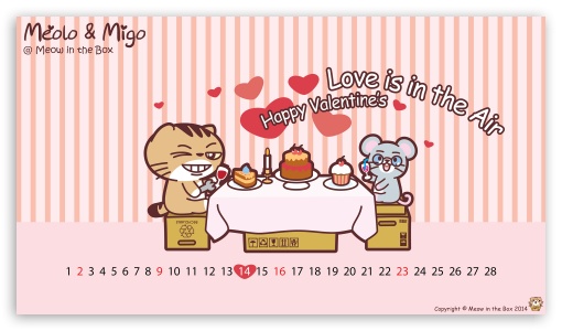 Meolo Valentines Day - Meow in the Box UltraHD Wallpaper for 8K UHD TV 16:9 Ultra High Definition 2160p 1440p 1080p 900p 720p ; Mobile 16:9 - 2160p 1440p 1080p 900p 720p ;