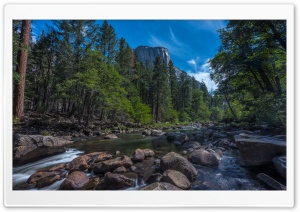 Merced River, El Capitan, Yosemite National Park, California Ultra HD Wallpaper for 4K UHD Widescreen desktop, tablet & smartphone