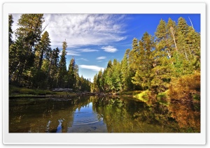 Merced River, Yosemite Ultra HD Wallpaper for 4K UHD Widescreen desktop, tablet & smartphone