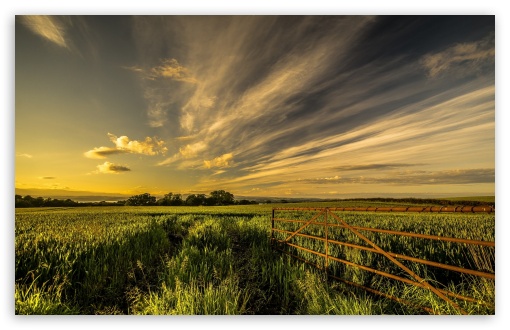 Metal Fence In The Field UltraHD Wallpaper for HD 16:9 ; Widescreen 16:10 5:3 ; Fullscreen 4:3 5:4 3:2 ; Tablet 1:1 ; Mobile 3:5 3:4 ;