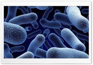 Microorganisms 3D Ultra HD Wallpaper for 4K UHD Widescreen desktop, tablet & smartphone