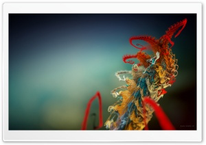 Mikro Plant Ultra HD Wallpaper for 4K UHD Widescreen desktop, tablet & smartphone