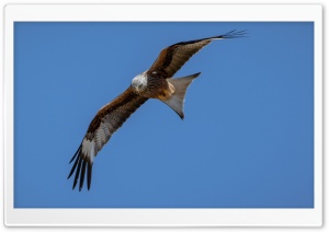 Milan in the Air 4K UHD Wallpaper for Widescreen and UltraWide Desktop, UltraHD TV, Smartphone, Tablet