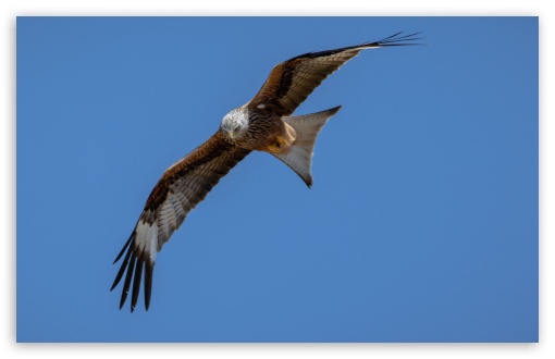 Milan in the Air UltraHD Wallpaper for UHD 16:9 ; HD 16:9 ; UltraWide 21:9 24:10 ; Widescreen 16:10 5:3 ; Fullscreen 4:3 5:4 3:2 ; Tablet 1:1 ;