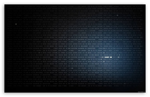Mind Programmer Ultra HD Desktop Background Wallpaper for : Widescreen ...