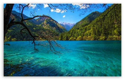 Mirror Lake, Jiuzhaigou National Park, Sichuan, China UltraHD Wallpaper for UHD 16:9 ; HD 16:9 ; UltraWide 21:9 24:10 ; Widescreen 16:10 5:3 ; Fullscreen 4:3 5:4 3:2 ; Tablet 1:1 ; Mobile 9:16 9:19.5 9:20 9:21 9:22 10:16 2:3 3:5 3:4 ;