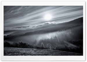 Mist, Sun Rays, Forest, Mountains, Black and White Ultra HD Wallpaper for 4K UHD Widescreen desktop, tablet & smartphone