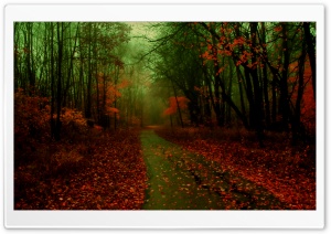 Misty Autumn Ultra HD Wallpaper for 4K UHD Widescreen desktop, tablet & smartphone