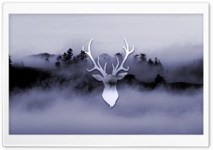 Misty Deer Ultra HD Wallpaper for 4K UHD Widescreen desktop, tablet & smartphone