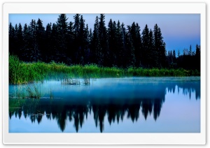 Misty Lake And Dark Forest Ultra HD Wallpaper for 4K UHD Widescreen desktop, tablet & smartphone