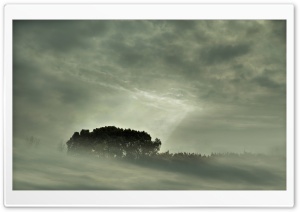 Misty Landscape Ultra HD Wallpaper for 4K UHD Widescreen desktop, tablet & smartphone