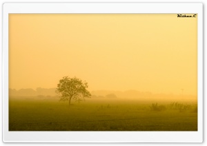 Misty Morning. Ultra HD Wallpaper for 4K UHD Widescreen desktop, tablet & smartphone