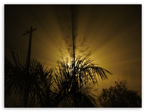 misty night UltraHD Wallpaper for Fullscreen 4:3 ;