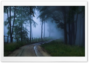 Misty Road Ultra HD Wallpaper for 4K UHD Widescreen desktop, tablet & smartphone