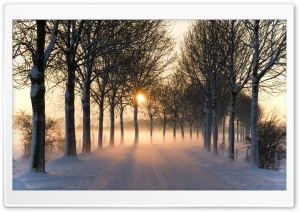 Misty Winter Afternoon Ultra HD Wallpaper for 4K UHD Widescreen desktop, tablet & smartphone