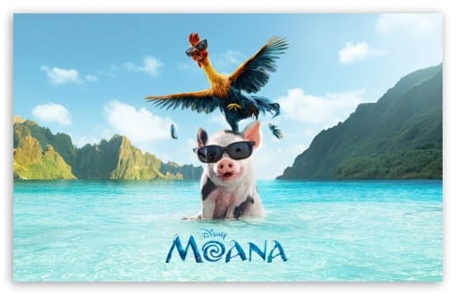 Moana 2026 Movie Pua Pig and HeiHei Rooster UltraHD Wallpaper for UHD 16:9 ; HD 16:9 ; Widescreen 16:10 ; Tablet 1:1 ; Mobile 9:16 9:19.5 9:20 ;