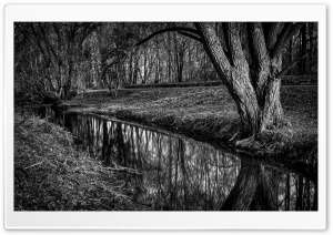 Monochrome Forest Landscape 4K UHD Wallpaper for Widescreen and UltraWide Desktop, UltraHD TV, Smartphone, Tablet