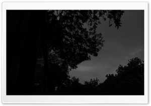 monochrome view 4K UHD Wallpaper for Widescreen and UltraWide Desktop, UltraHD TV, Smartphone, Tablet