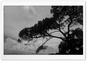 monochrome view 4K UHD Wallpaper for Widescreen and UltraWide Desktop, UltraHD TV, Smartphone, Tablet