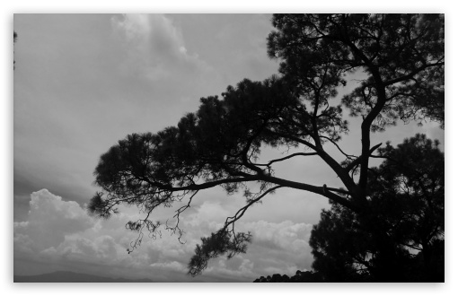 monochrome view UltraHD Wallpaper for UHD 16:9 ; HD 16:9 ; Widescreen 16:10 5:3 ; Fullscreen 4:3 ;