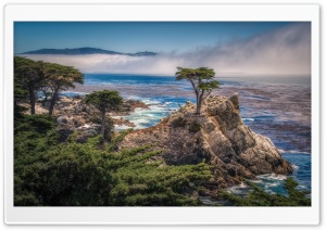 Monterey Bay Ultra HD Wallpaper for 4K UHD Widescreen desktop, tablet & smartphone