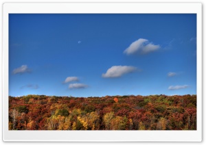 Moon Over Autumn Ultra HD Wallpaper for 4K UHD Widescreen desktop, tablet & smartphone